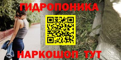 эйфоретик Заволжье