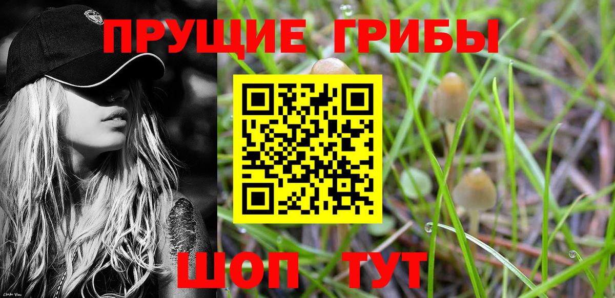 где найти наркотики  Вход с VPN  Бузулук  Псилоцибиновые грибы MAGIC MUSHROOMS 